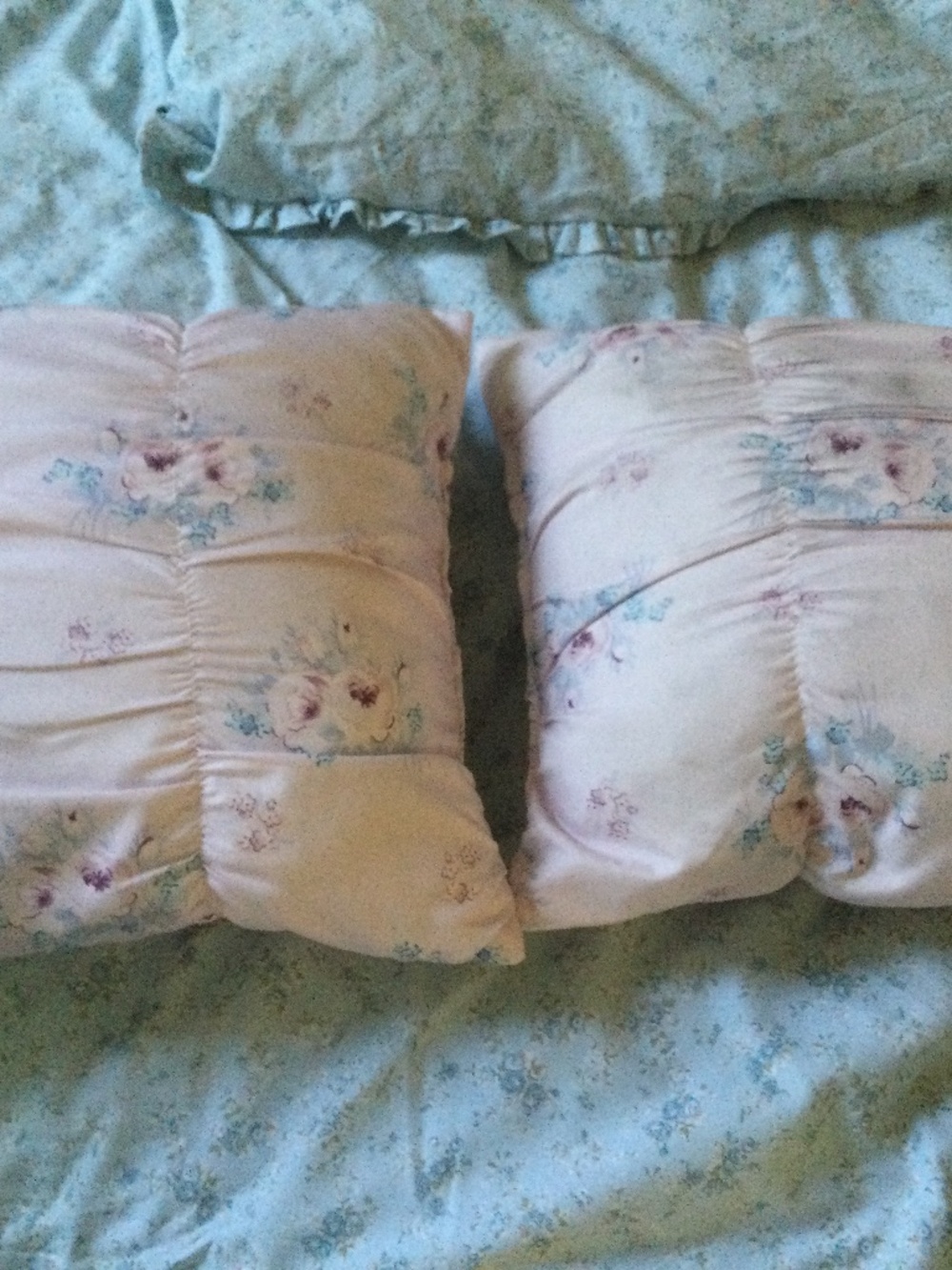 Simply Shabby Chic Throw Pillows (pair)